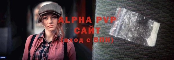 гашик Майский