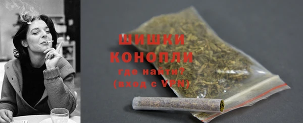 дживик Магас