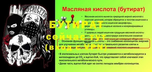 гашик Майский
