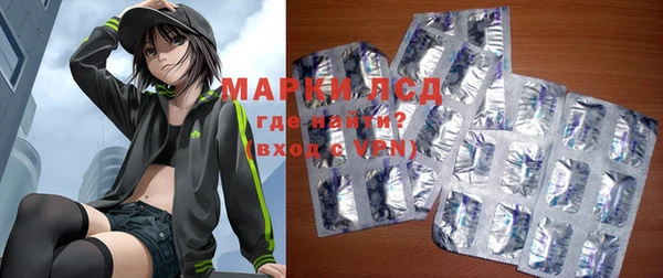 гашик Майский