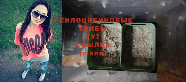 дживик Магас