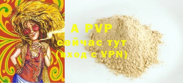 дживик Магас