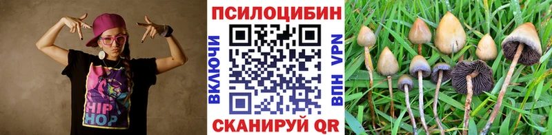 Галлюциногенные грибы Psilocybe  Купить  Мелеуз 